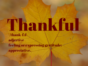 What are you thankful for?